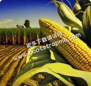 专业资讯，全面覆盖 - 世界杯投注平台