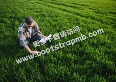 探索賽場的魅力 - 世界杯投注平台