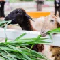 搜尋 - 世界杯投注平台